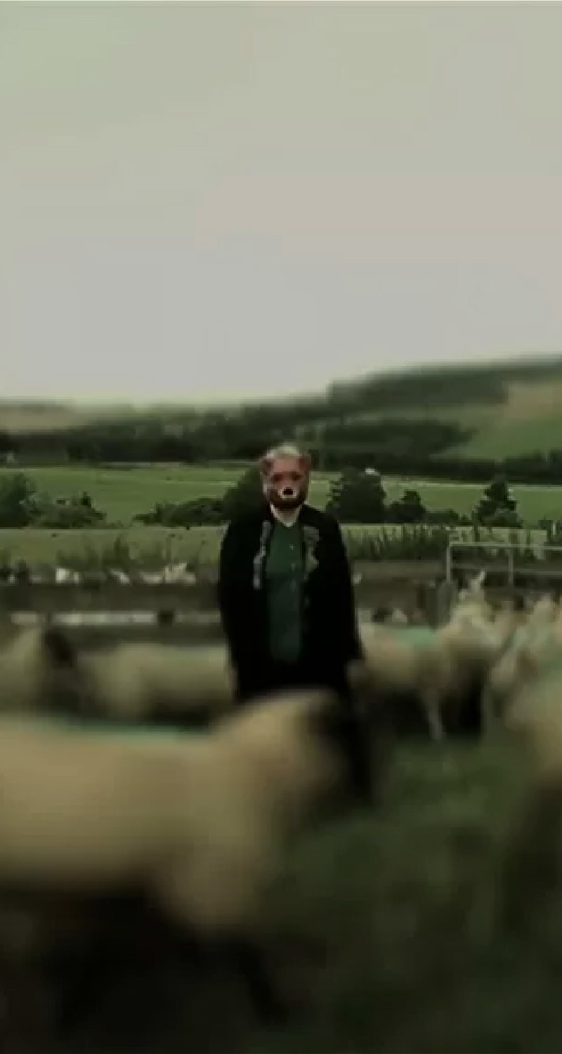 Man standing in a field of sheep