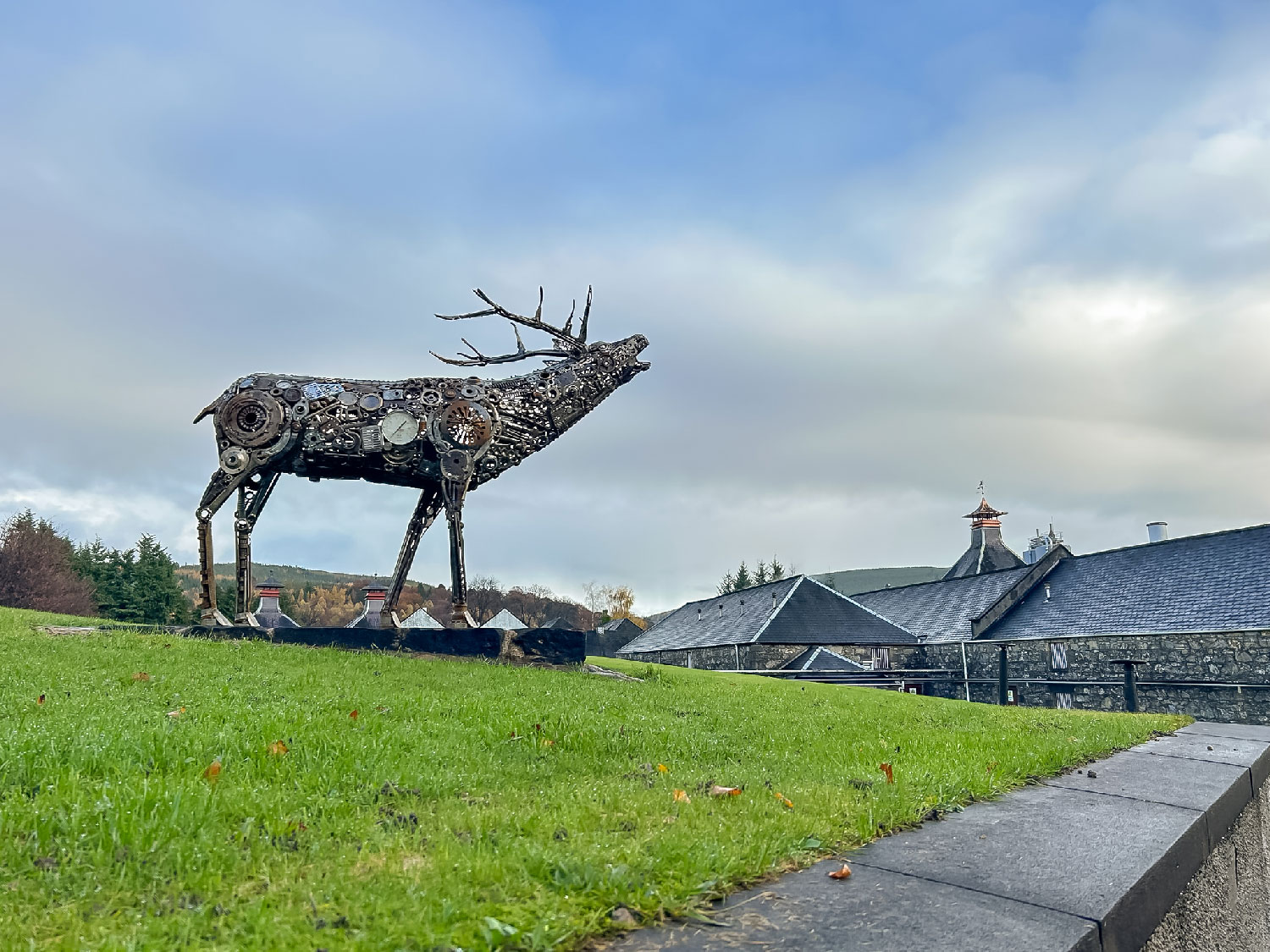 Metal stag at Glenfiddich entrance 